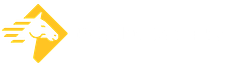 Paladin Security logo