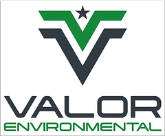 Alpha Environmental Management Corp logo